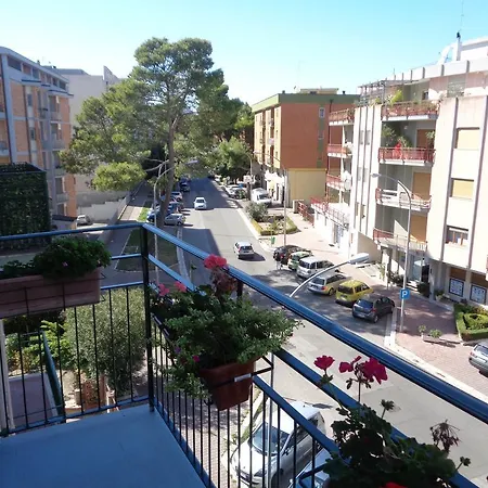 B&B Dante-3
