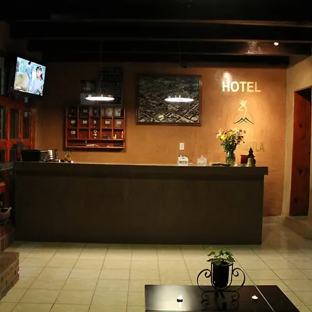 Hotel Plaza Mazamitla-2