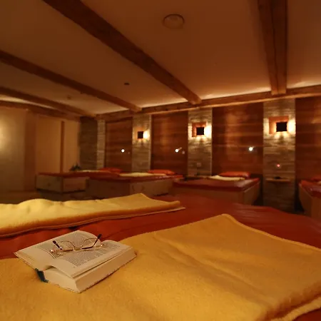 Hotel Lamark-3