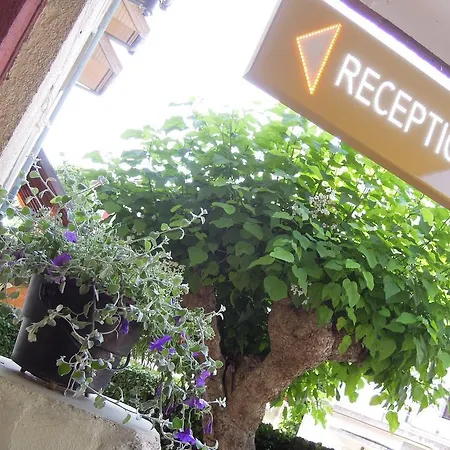 Hotel Catalpa-2