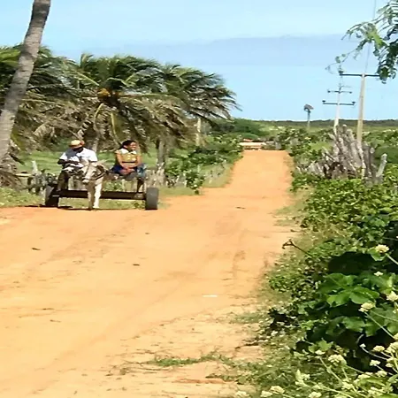 Pousada Chale Paraiso - Icapui-2