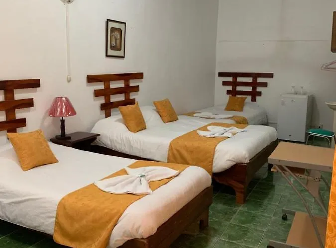 Hotel Don Robert