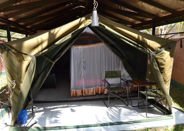 Impala Safari Lodge