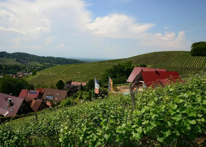 Residence am Weinberg / Travellers Hotelbetriebs GmbH