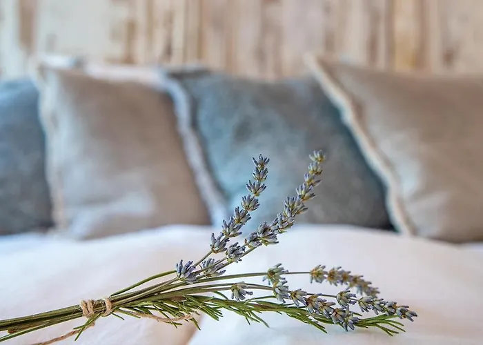 Laareind Bed & Breakfast Waalre