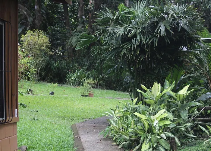 Iguana Libre