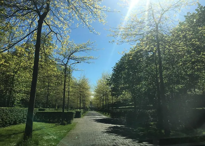 De Zilvermeeuw