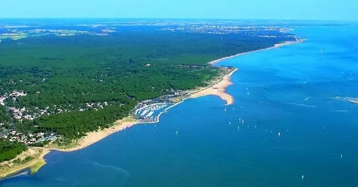Ocean Foret