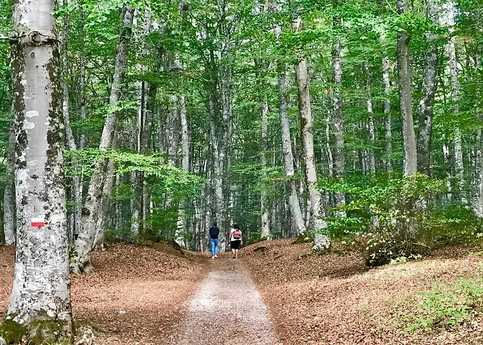 Borgo Manca Suite Sasso di Castalda