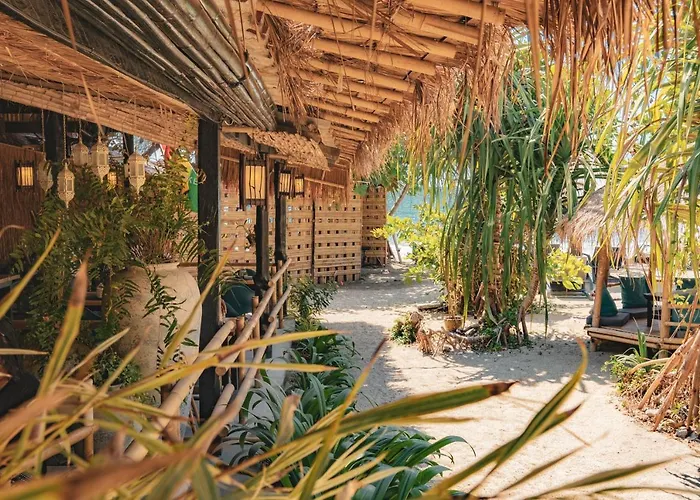 The Lazy Lodge