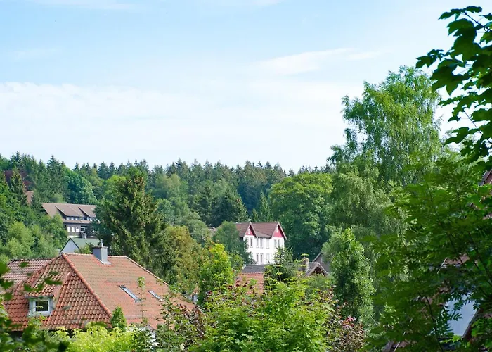 Hotel Harz