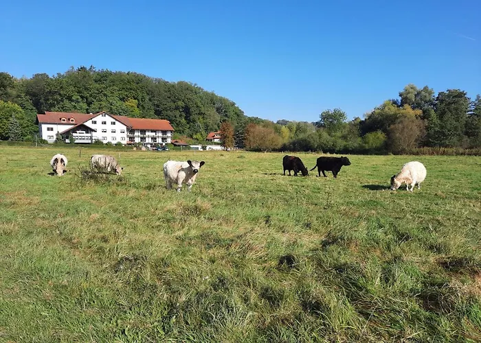 Landgasthof Rotlipp Gästezimmer