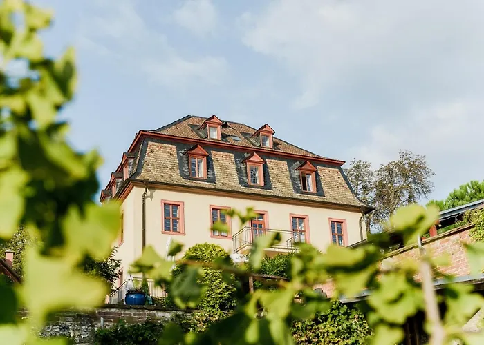 Hotel Kollektur