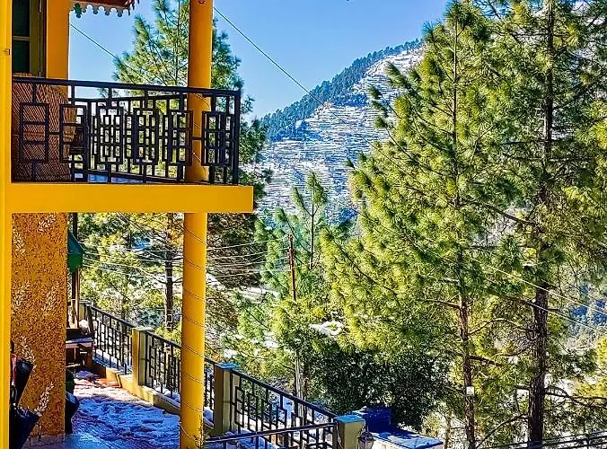 Thehimalayanliving Whistling Pines