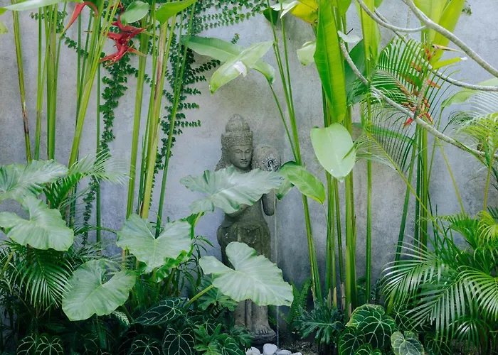 Jati Kuta Lombok