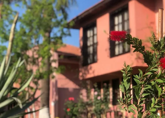 Hotel Palme Dalyan