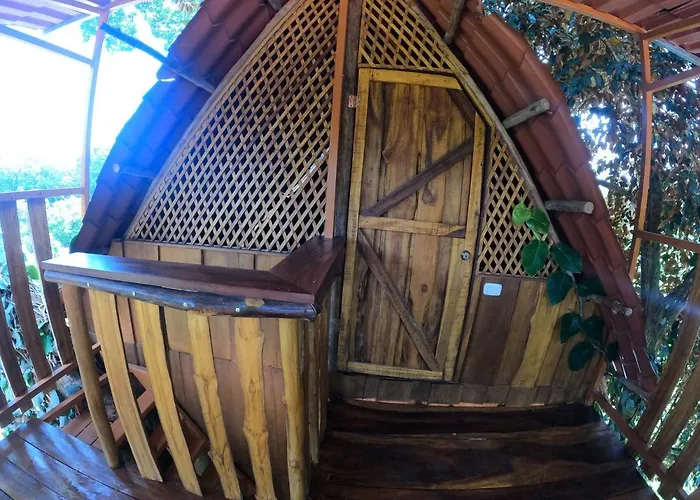 Tree House Samanea Lodge