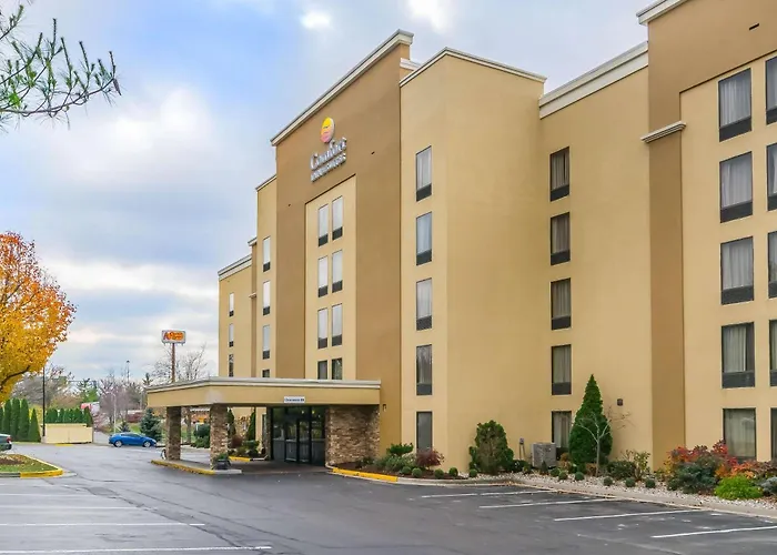 Comfort Inn & Suites Lexington - Hamburg I-75