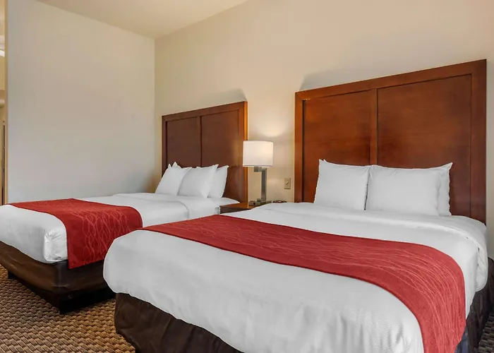 Comfort Inn & Suites Fort Myers Airport