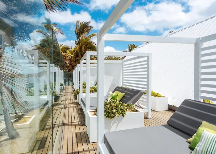Tropical Attitude (Adults Only)