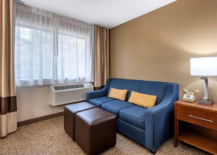 Comfort Inn&Suites Montpelier-Berlin