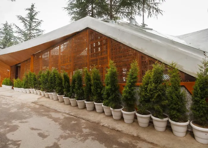 Tree Of Life Eila Art Hotel, Manali
