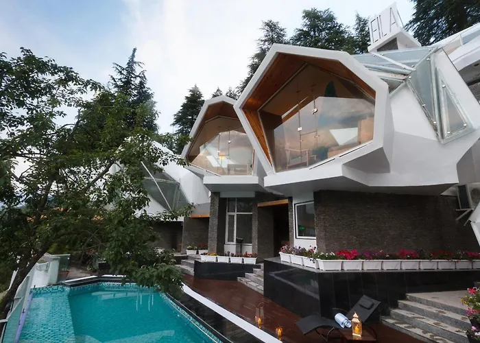Tree Of Life Eila Art Hotel, Manali