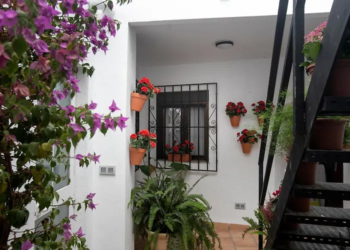 Vitium Córdoba