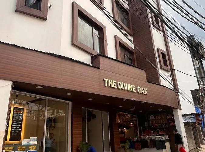 The Divine Oak