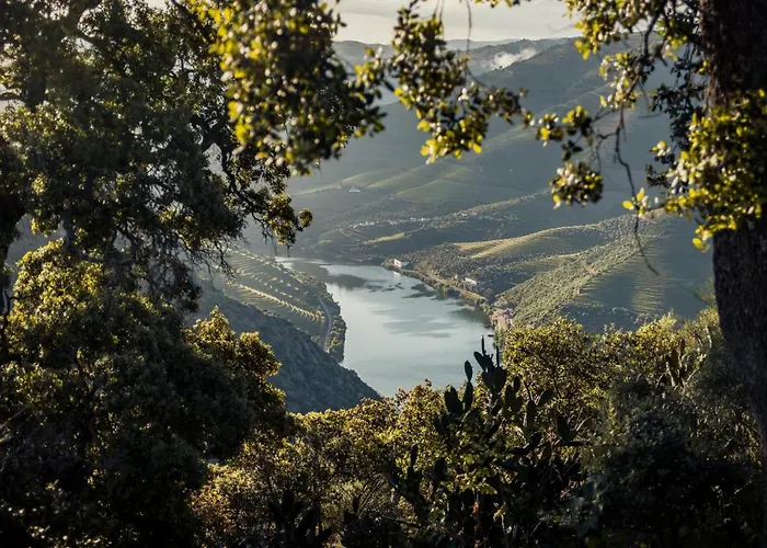 Original Douro Hotel