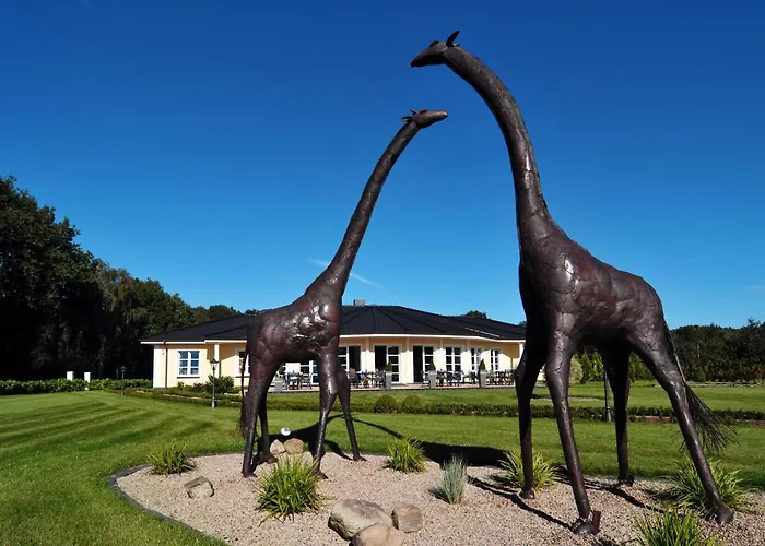 African Sky Hotel