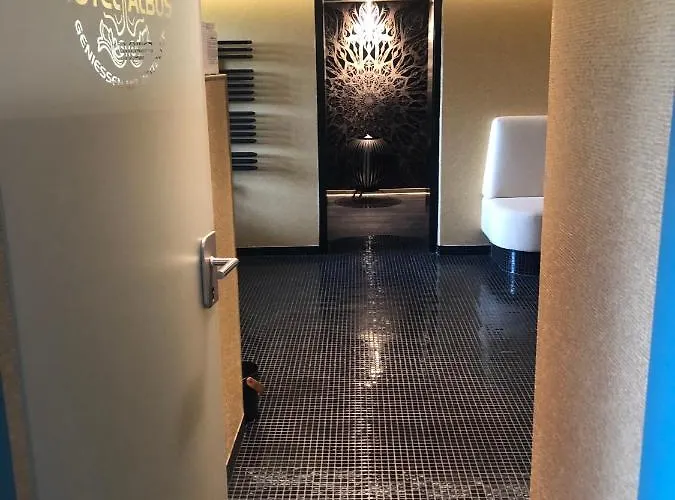 Hotel Albus