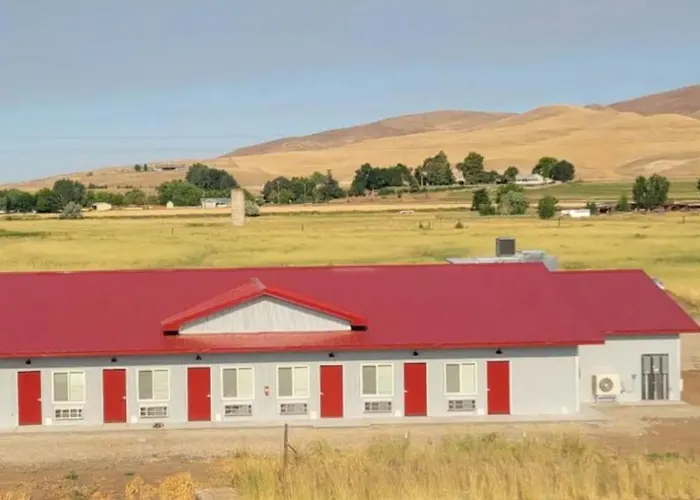 Lazy Bear Ranch