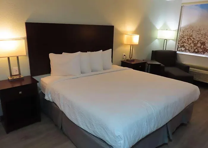 Best Western Childress West Hotel
