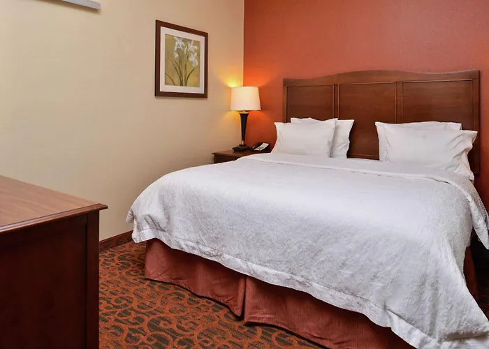 Hampton Inn Idaho Falls / Airport