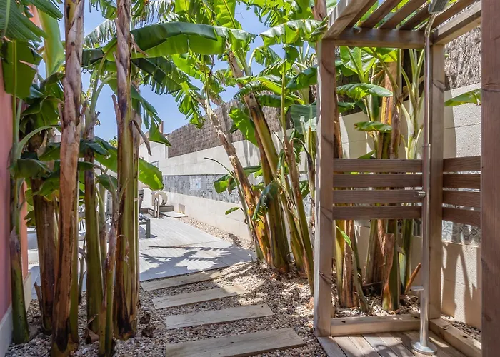 Charming Residence & Guest House Dom Manuel I Adults Only