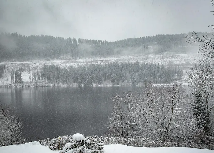Alemannenhof - Boutique Hotel Am Titisee