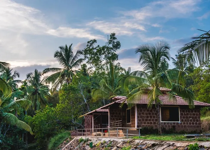 Dandeli Jungle Resort