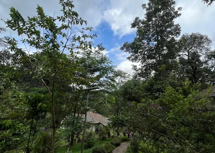 Abad Brookside Wayanad