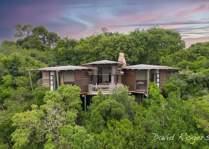 Tsala Treetop Lodge