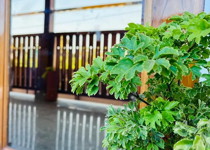 The Luxe, Ecr Road, Near Serenity Beach, Pondicherry - Bmc