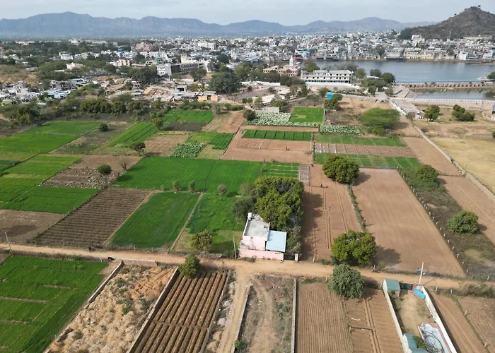 Hotel The Pushkar Flower