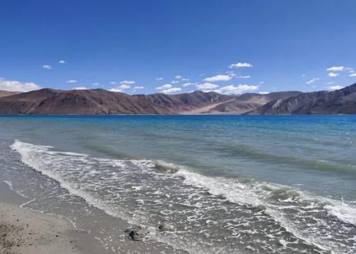 Blue Waves Camps Lake View Pangong