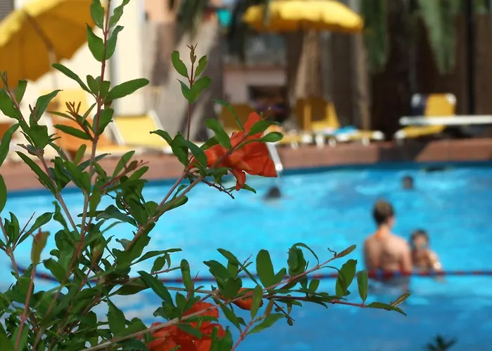 Coccodrillo Hotel & Apartments