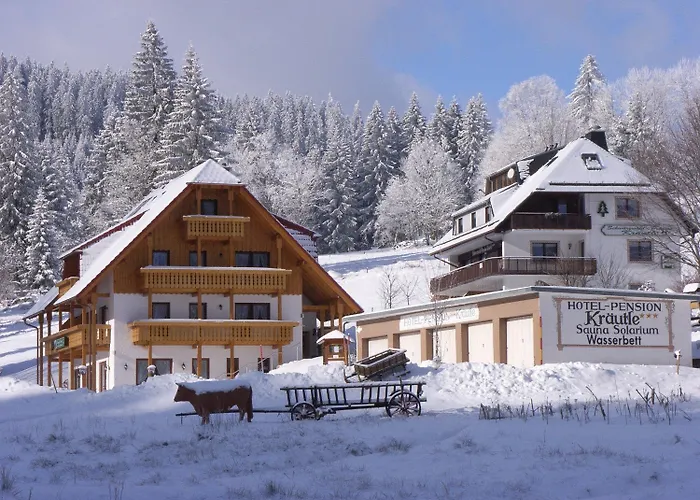 Schwarzwald Aparthotel Kräutle