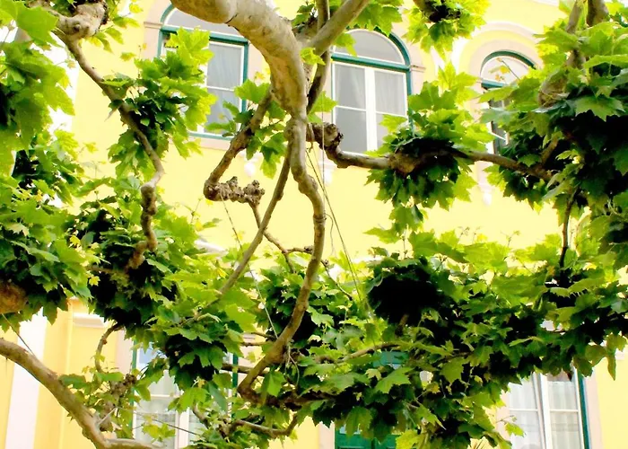 Hotel Nova Sintra - Adults Only
