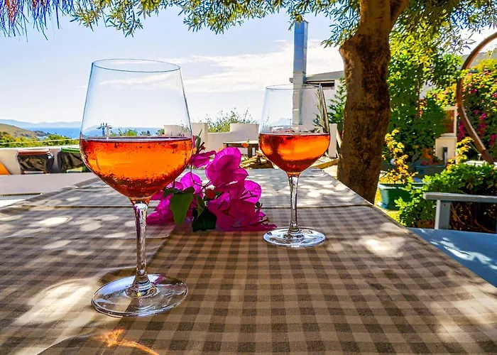 Oza Boutique Hotel