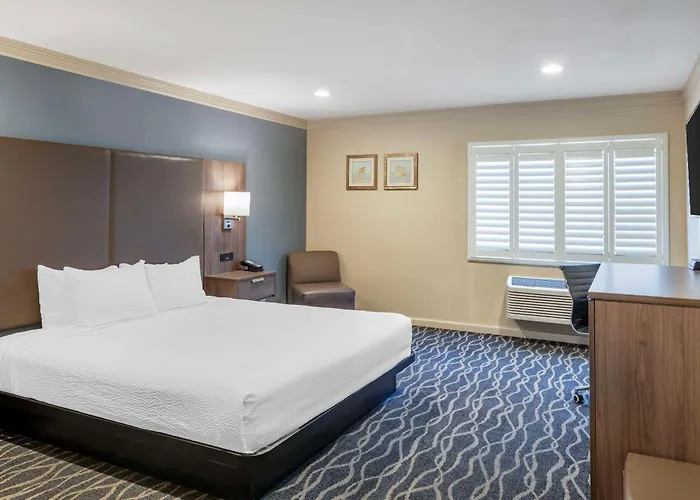 Best Western Plus Hill House