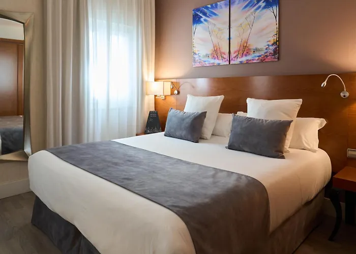 Hotel Puerta De Toledo Madri