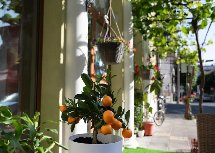 Hotel Zeus